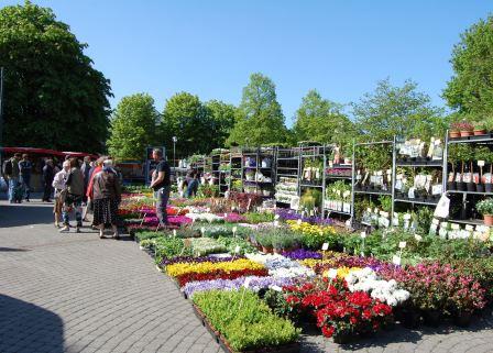 Marché aux fleurs