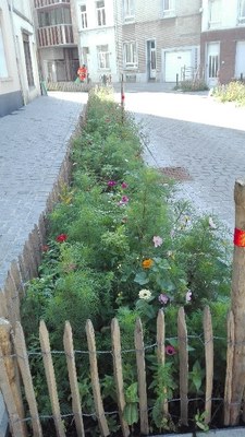 eau   jardin de pluie rue de l'eau