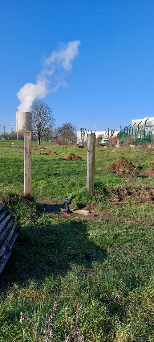 De gemeente stelt een deel van de experimentele boomgaard van Vorst voor!