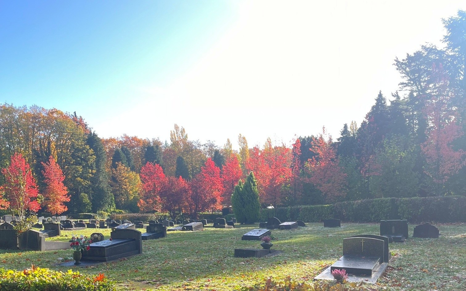 cimetière de Forest