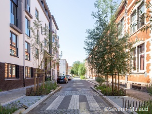 Aménagement rue du Dries