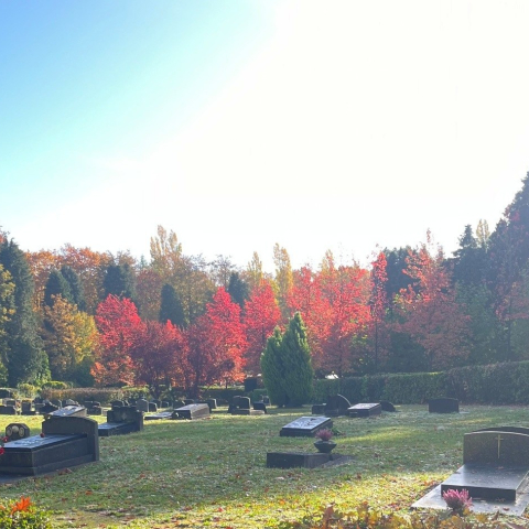 cimetière de Forest